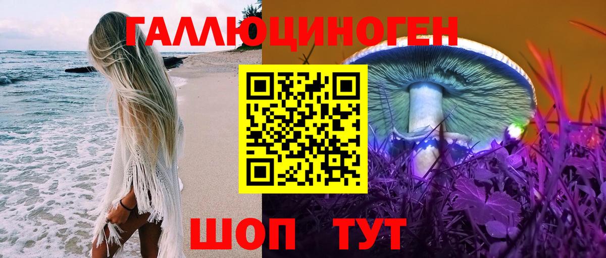 дарнет шоп  Псилоцибиновые грибы прущие грибы  Вход с VPN  Севастополь 