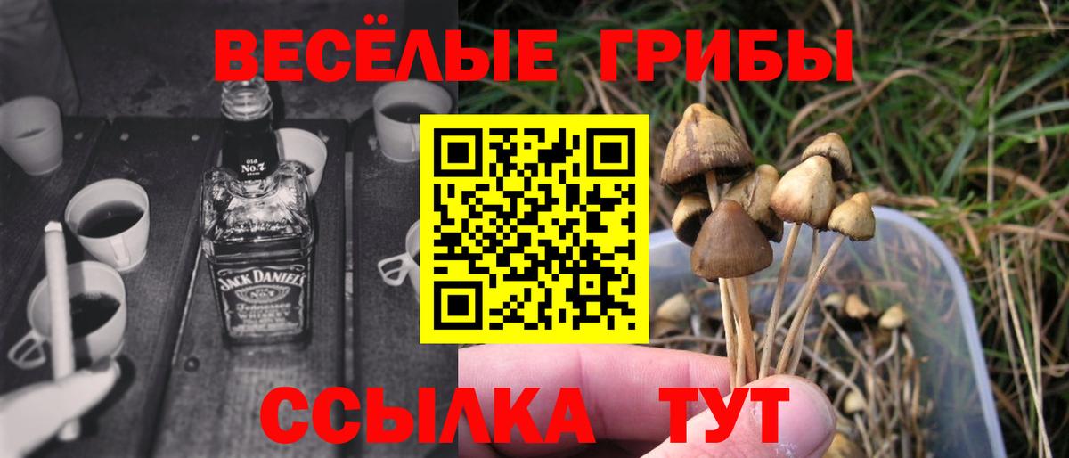 Галлюциногенные грибы Cubensis Севастополь